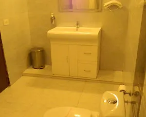 Shyama International **** New Delhi